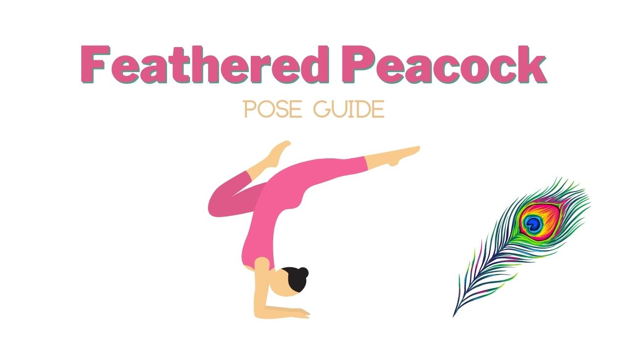 Feathered Peacock Pose: How to Practice Pincha Mayurasana